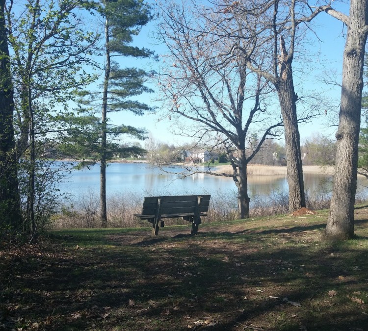 Powell Lake Township Park (Oxford,&nbspMI)